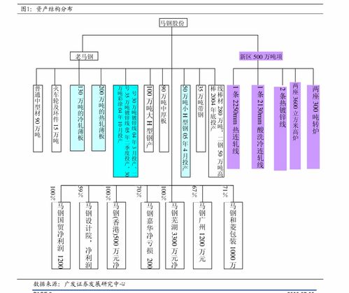 順網科技 產品矩陣拓寬與云業務成效顯現的深度解析